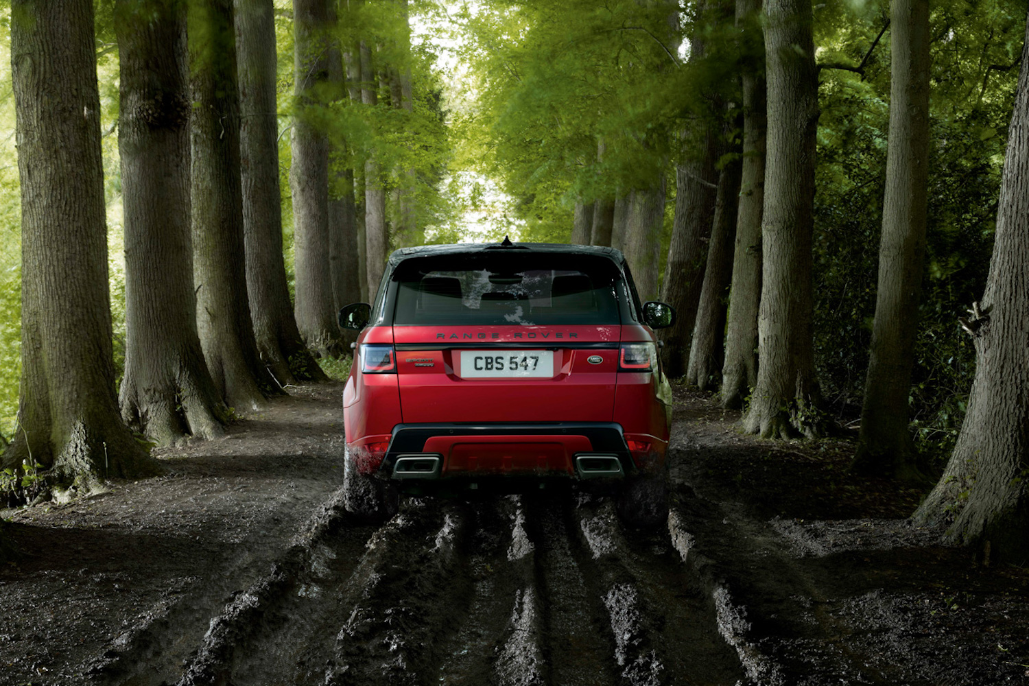 Range Rover new mild-hybrid diesel engines
