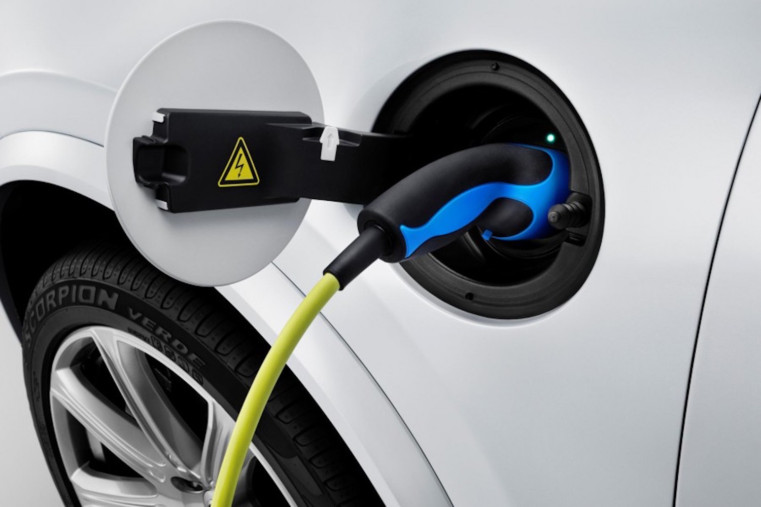 Green Party hints that it might not back electric cars