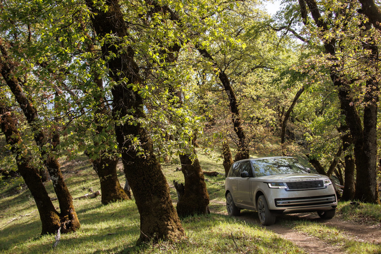 Range Rover D350 HSE (2022) Range Rover D350 HSE (2022)