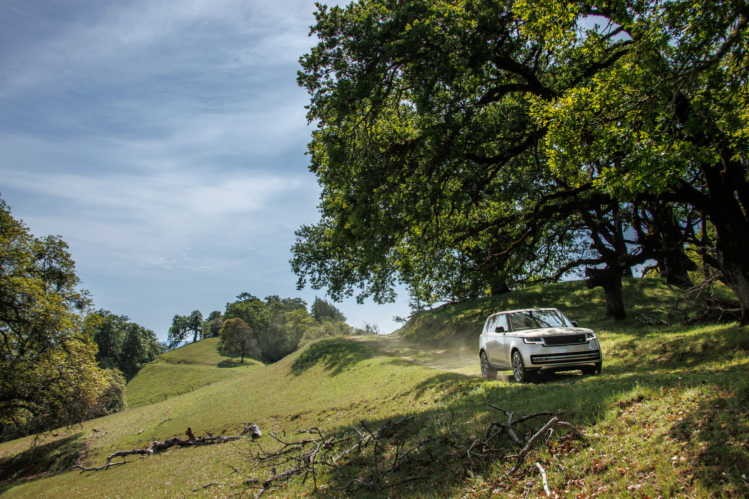 Range Rover D350 HSE (2022) Range Rover D350 HSE (2022)