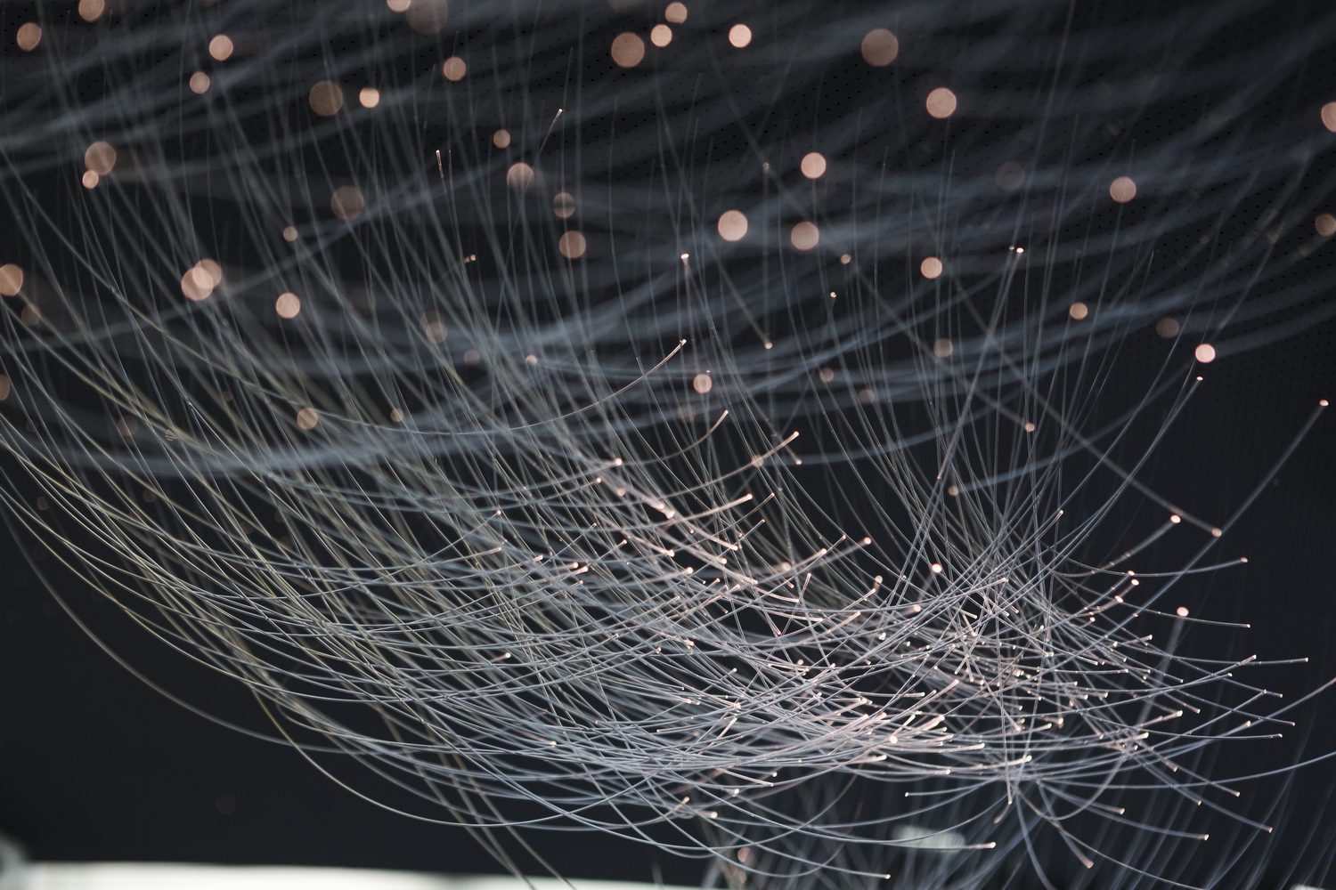 Visiting the home of Rolls-Royce Visiting the home of Rolls-Royce