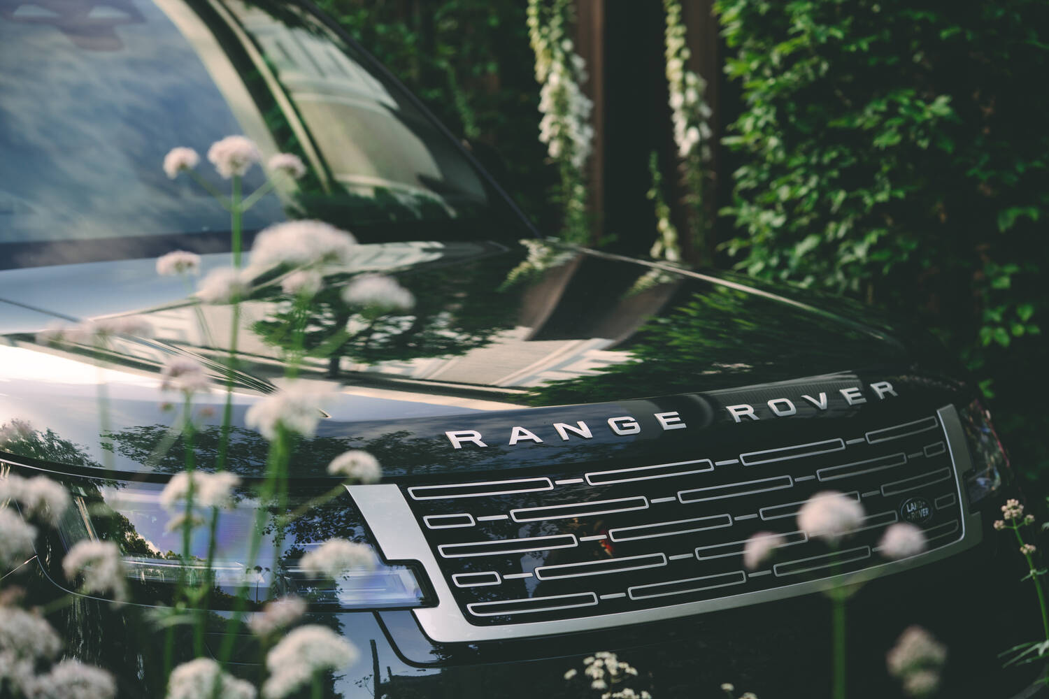 Range Rover Electric