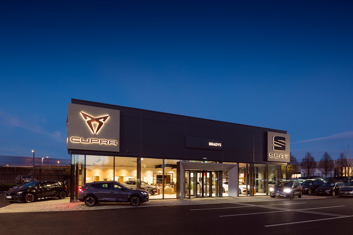 Cupra Bradys Dublin Castleknock
