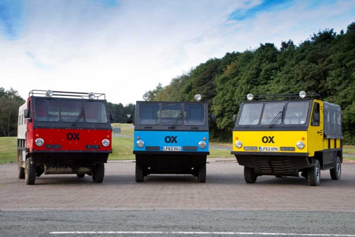OX is the world