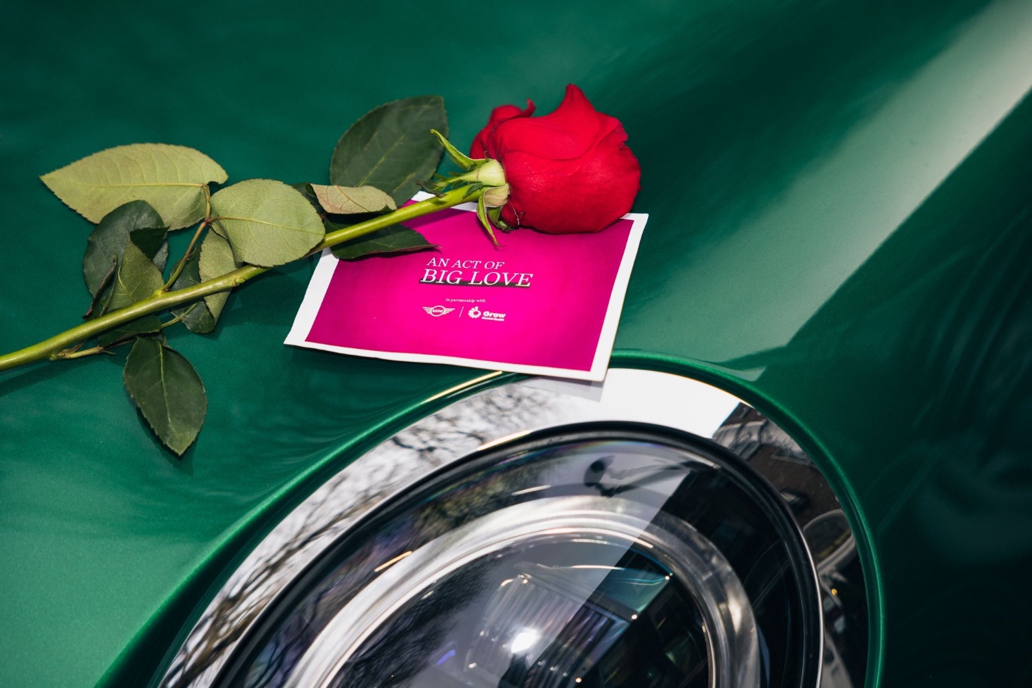 Car News | MINI sending Valentine’s flowers to those who help