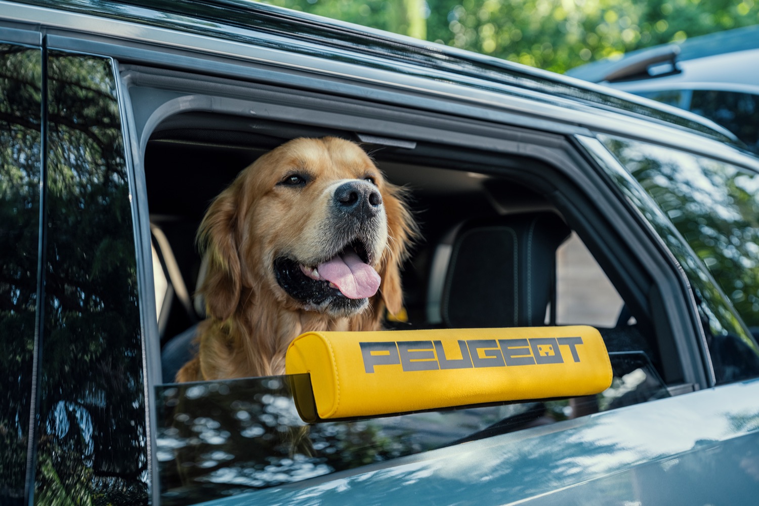 Peugeot E-5008 Dog Edition Concept revealed