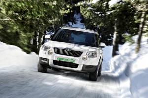 New Skoda Yeti models go on sale