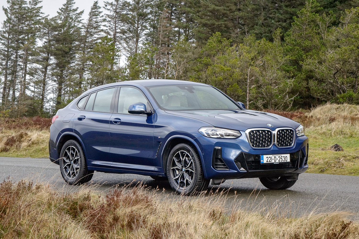 Car Reviews | BMW X4 xDrive20d (2022) | CompleteCar.ie